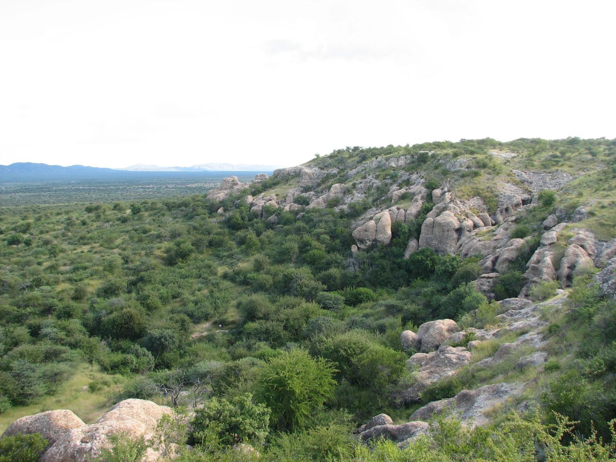Sasa Safari Camp & Tours Villa Outjo Eksteriør bilde