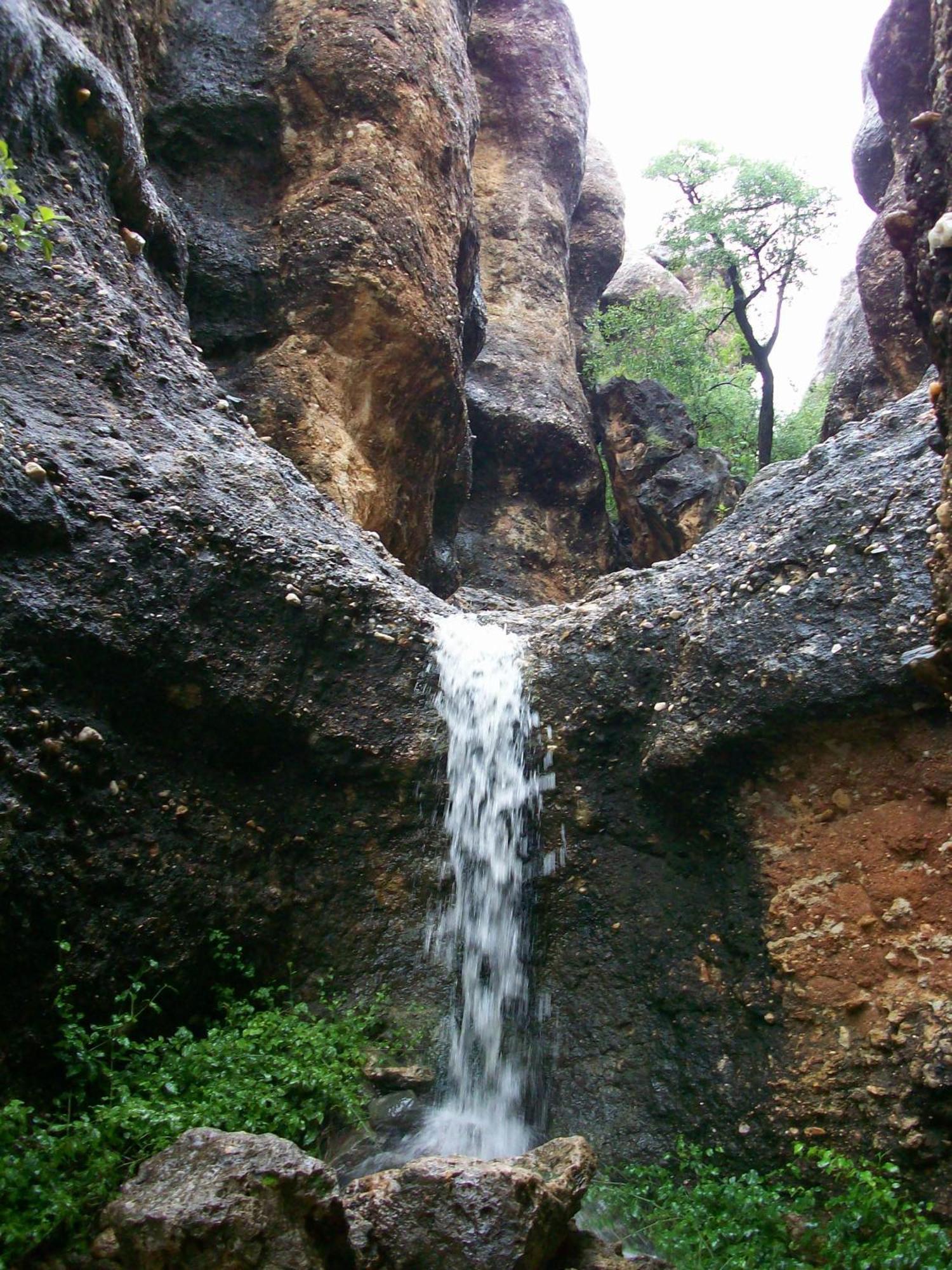Sasa Safari Camp & Tours Villa Outjo Eksteriør bilde